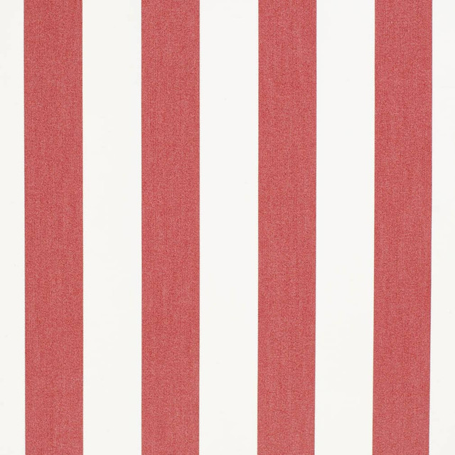 D3481 by Charlotte Designer Fabric Cabana 100% Solution Dyed Acrylic Asia Exceeds 120,000 Wyzenbeek Rubs (Heavy Duty) Horizontal 4" 54 Inches - Swanky Fabrics -