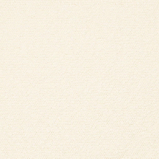 D3637 by Charlotte Designer Fabric Mid Century Modern 100% Polyester Asia Exceeds 60,000 Wyzenbeek Rubs (Heavy Duty) No Repeat 54 Inches - Swanky Fabrics -