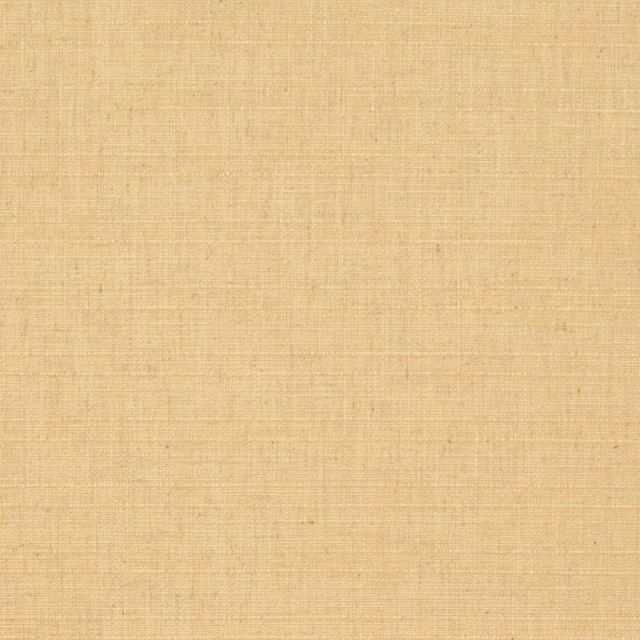 D3678 by Charlotte Designer Fabric Linen Looks 95% Polyester, 5% Linen Asia Exceeds 106,000 Wyzenbeek Rubs (Heavy Duty) No Repeat 54 Inches - Swanky Fabrics -
