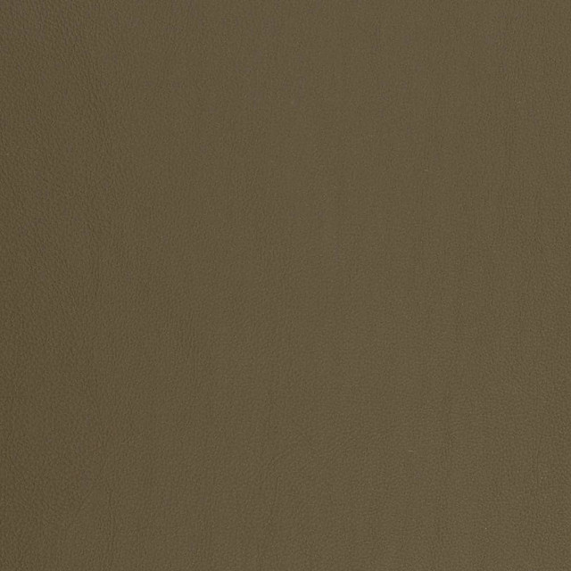 V817 by Charlotte Designer Fabric Breathables V 100% Polyurethane, 26oz. Asia Exceeds 2,000,000 Wyzenbeek Rubs (Heavy Duty) No Repeat 54 Inches - Swanky Fabrics -
