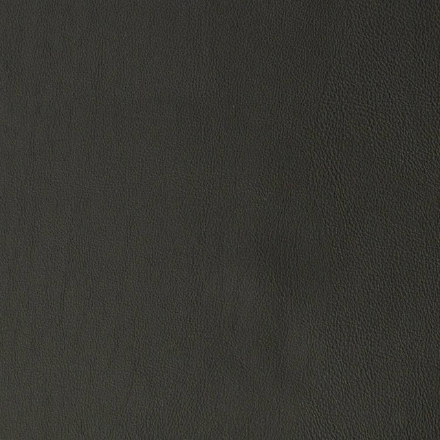 V818 by Charlotte Designer Fabric Breathables V 100% Polyurethane, 26oz. Asia Exceeds 2,000,000 Wyzenbeek Rubs (Heavy Duty) No Repeat 54 Inches - Swanky Fabrics -