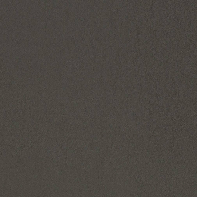 V819 by Charlotte Designer Fabric Breathables V 100% Polyurethane, 26oz. Asia Exceeds 2,000,000 Wyzenbeek Rubs (Heavy Duty) No Repeat 54 Inches - Swanky Fabrics -