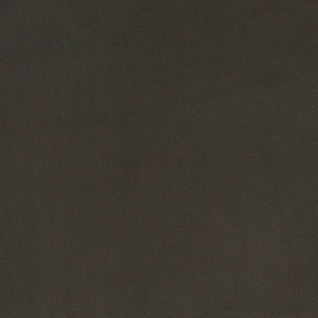 V822 by Charlotte Designer Fabric Breathables V 100% Polyurethane, 26oz. Asia Exceeds 2,000,000 Wyzenbeek Rubs (Heavy Duty) No Repeat 54 Inches - Swanky Fabrics -