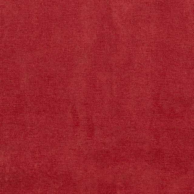 D3817 by Charlotte Designer Fabric Classic Velvet II 90% Polyester, 10% Nylon Asia Exceeds 240,000 Wyzenbeek Rubs (Heavy Duty) No Repeat 54 Inches - Swanky Fabrics -