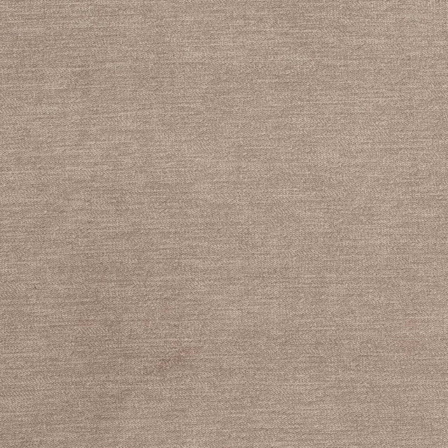 D3829 by Charlotte Designer Fabric Classic Velvet II 90% Polyester, 10% Nylon Asia Exceeds 240,000 Wyzenbeek Rubs (Heavy Duty) No Repeat 54 Inches - Swanky Fabrics -
