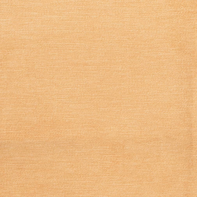 D3830 by Charlotte Designer Fabric Classic Velvet II 90% Polyester, 10% Nylon Asia Exceeds 240,000 Wyzenbeek Rubs (Heavy Duty) No Repeat 54 Inches - Swanky Fabrics -