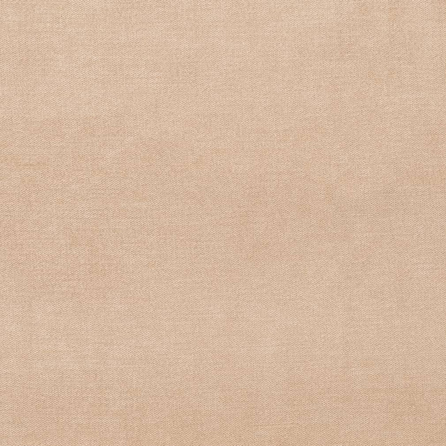 D3860 by Charlotte Designer Fabric Classic Velvet II 90% Polyester, 10% Nylon Asia Exceeds 240,000 Wyzenbeek Rubs (Heavy Duty) No Repeat 54 Inches - Swanky Fabrics -