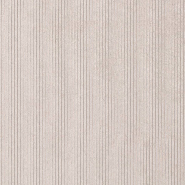 D3876 by Charlotte Designer Fabric Ridges 92% Polyester, 8% Acrylic Asia Exceeds 100,000 Wyzenbeek Rubs (Heavy Duty) No Repeat 54 Inches - Swanky Fabrics -