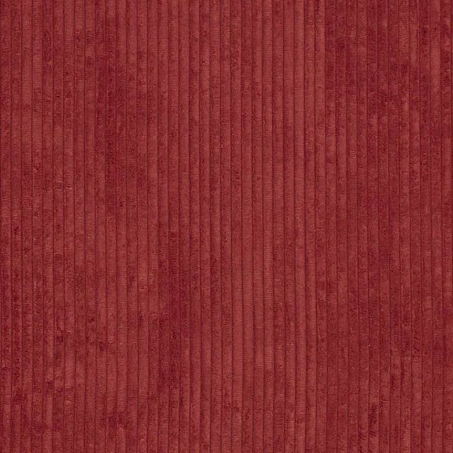 D3907 by Charlotte Designer Fabric Ridges 90% Polyester, 10% Nylon Asia Exceeds 150,000 Wyzenbeek Rubs (Heavy Duty) No Repeat 54 Inches - Swanky Fabrics -