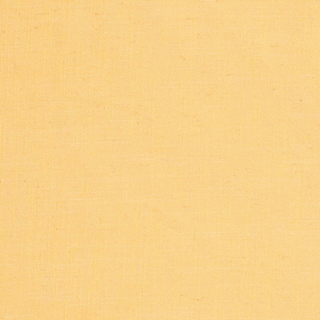 D3941 by Charlotte Designer Fabric Casual Linen 45% Viscose, 35% Polyester, 20% Linen, 16 oz. Asia Exceeds 50,000 Wyzenbeek Rubs (Heavy Duty) No Repeat 54 Inches - Swanky Fabrics -