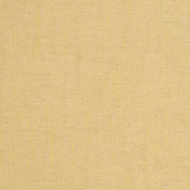 D3953 by Charlotte Designer Fabric Casual Linen 45% Viscose, 35% Polyester, 20% Linen, 16 oz. Asia Exceeds 50,000 Wyzenbeek Rubs (Heavy Duty) No Repeat 54 Inches - Swanky Fabrics -