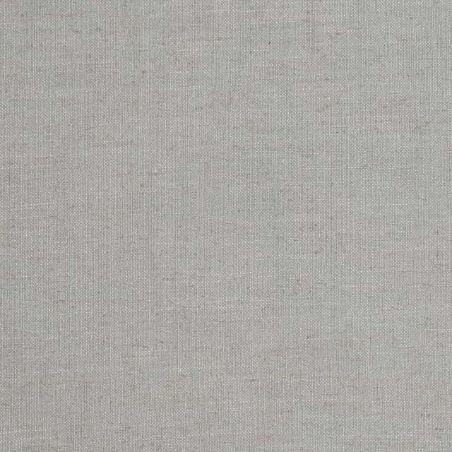 D3960 by Charlotte Designer Fabric Casual Linen 45% Viscose, 35% Polyester, 20% Linen, 16 oz. Asia Exceeds 50,000 Wyzenbeek Rubs (Heavy Duty) No Repeat 54 Inches - Swanky Fabrics -
