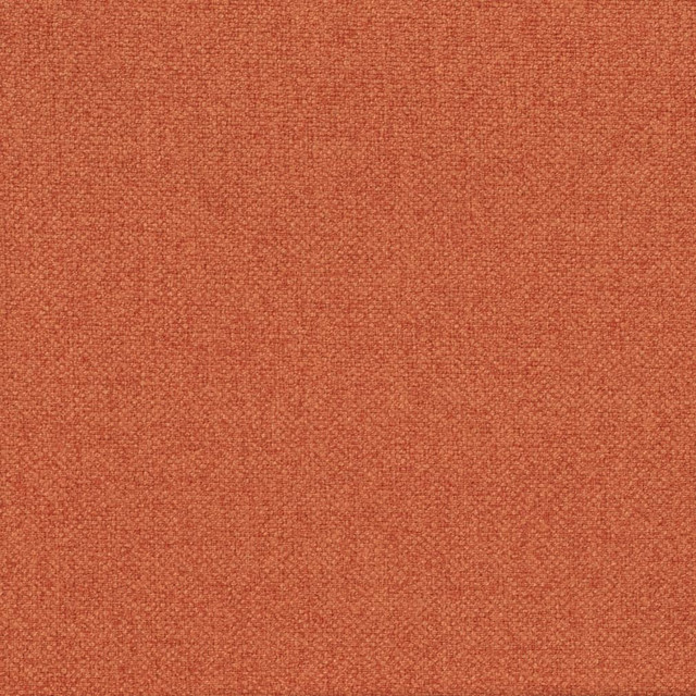D4016 by Charlotte Designer Fabric Simply Solid 100% Polyester Asia Exceeds 70,000 Wyzenbeek Rubs (Heavy Duty) No Repeat 54 Inches - Swanky Fabrics -