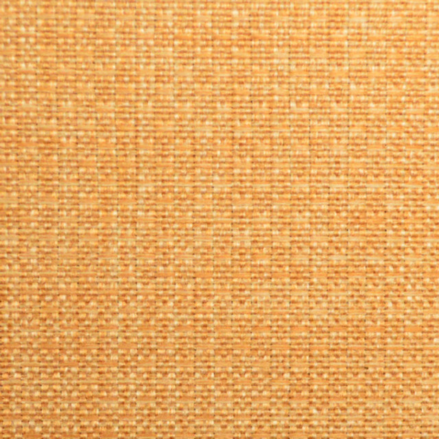 Allegro - Beeswax by Europatex Designer Fabric Allegro 100% Polyester China See Sample Horizontal: N/A and Vertical: N/A 54.00 inches  - Swanky Fabrics -