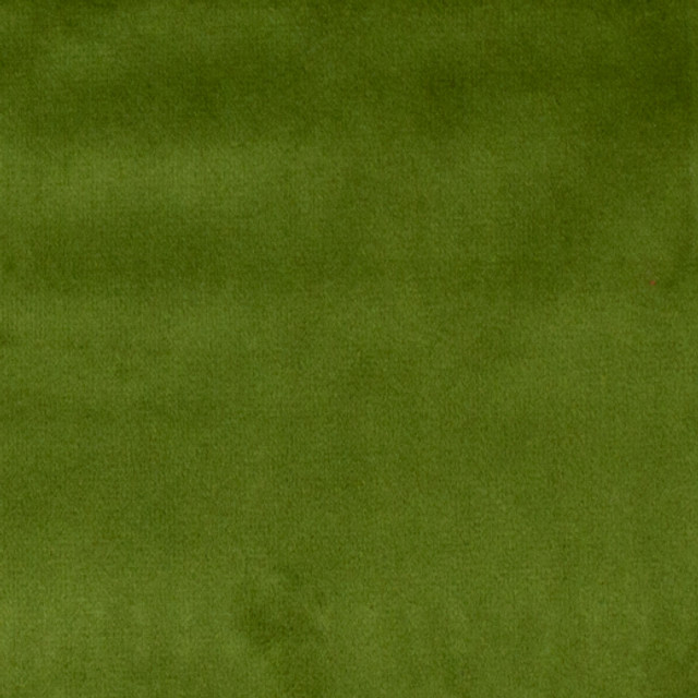 Bliss - Grass by Europatex Designer Fabric Bliss 100% Polyester China See Sample Horizontal: N/A and Vertical: N/A 110.00 inches  - Swanky Fabrics -