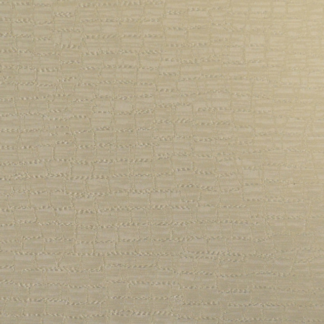 Fianna - B - Pearl by Europatex Designer Fabric Fianna 100% Polyester China See Sample Horizontal: N/A and Vertical: N/A 55.00 inches  - Swanky Fabrics -