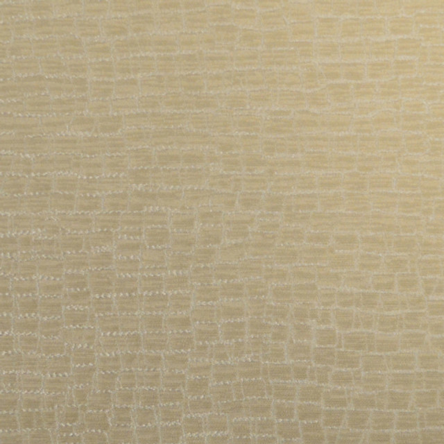 Fianna - B - Sand by Europatex Designer Fabric Fianna 100% Polyester China See Sample Horizontal: N/A and Vertical: N/A 55.00 inches  - Swanky Fabrics -