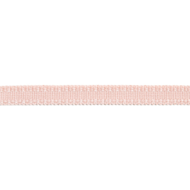 Versailles 9/16" Raised Edge Gimp - Ballet by Europatex Designer Fabric Versailles 100% Rayon China See Sample Horizontal: N/A and Vertical: N/A 0.56 inches  - Swanky Fabrics -