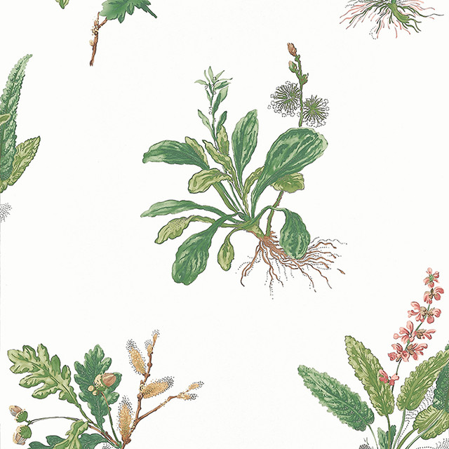 Woodland Green and Blush AT57852 by Anna French Wallpaper Anna French Wallpaper Woodland Green and Blush AT57852Wallpaper Bristol Non Woven Wallpaper UNITED KINGDOM </p><p>Repeat: V: 21.5 20.5 - Fabric Carolina - Woodland Green and Blush AT57852 by Anna French Wallpaper Anna French Wallpaper Woodland Green and Blush AT57852Wallpaper Bristol Non Woven Wallpaper UNITED KINGDOM </p><p>Repeat: V: 21.5 20.5 - Fabric Carolina -