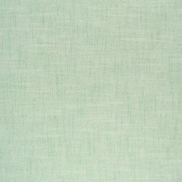 Ambient Kelly W75209 by Thibaut Fabric Thibaut Fabric Ambient Kelly W75209Fabric Elements 83% Polyester, 13% Rayon, 4% Linen U.S.A. </p><p>Repeat: V: 0 54 - Fabric Carolina - Ambient Kelly W75209 by Thibaut Fabric Thibaut Fabric Ambient Kelly W75209Fabric Elements 83% Polyester, 13% Rayon, 4% Linen U.S.A. </p><p>Repeat: V: 0 54 - Fabric Carolina -