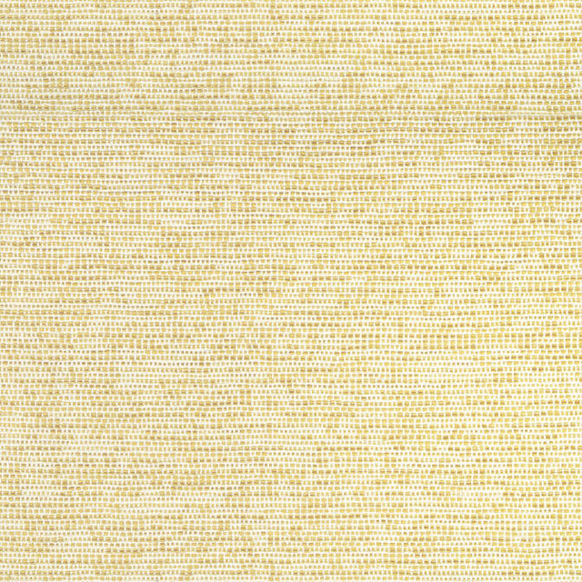 Borealis Buttercup W75232 by Thibaut Fabric Thibaut Fabric Borealis Buttercup W75232Fabric Elements 59% Cotton, 41% Polyester U.S.A. </p><p>Repeat: V: 32 54 - Fabric Carolina - Borealis Buttercup W75232 by Thibaut Fabric Thibaut Fabric Borealis Buttercup W75232Fabric Elements 59% Cotton, 41% Polyester U.S.A. </p><p>Repeat: V: 32 54 - Fabric Carolina -