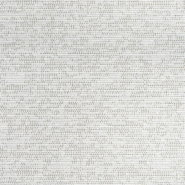Borealis Platinum W75237 by Thibaut Fabric Thibaut Fabric Borealis Platinum W75237Fabric Elements 59% Cotton, 41% Polyester U.S.A. </p><p>Repeat: V: 37 54 - Fabric Carolina - Borealis Platinum W75237 by Thibaut Fabric Thibaut Fabric Borealis Platinum W75237Fabric Elements 59% Cotton, 41% Polyester U.S.A. </p><p>Repeat: V: 37 54 - Fabric Carolina -