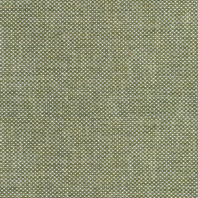 Cascade Ivy W75263 by Thibaut Fabric Thibaut Fabric Cascade Ivy W75263Fabric Elements 93% Polyester, 7% Cotton U.S.A. </p><p>Repeat: V: 63 54 - Fabric Carolina -