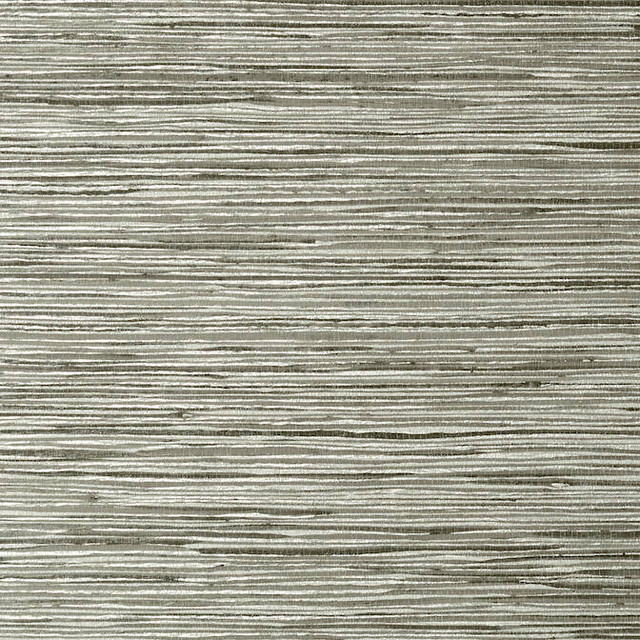 Jindo Grass Charcoal on Metallic Silver T75120 by Thibaut Wallpaper Thibaut Wallpaper Jindo Grass Charcoal on Metallic Silver T75120Wallpaper Faux Resource Vinyl Face Wallpaper UNITED KINGDOM </p><p>Repeat: V: 27 27 - Fabric Carolina -