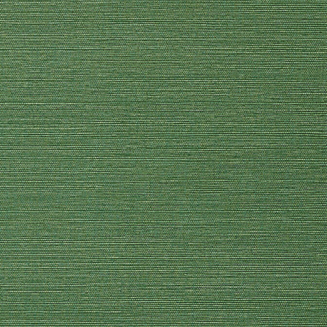 Taluk Sisal Green T75154 by Thibaut Wallpaper Thibaut Wallpaper Taluk Sisal Green T75154Wallpaper Faux Resource Non-Woven Vinyl Wallpaper U.S.A. </p><p>Repeat: V: 21 27 - Fabric Carolina -