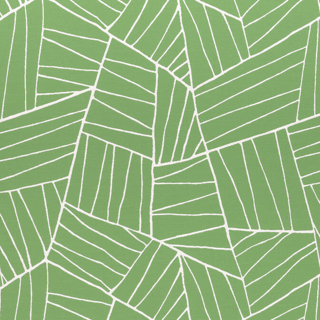 Jordan Kelly Green W74652 by Thibaut Fabric Thibaut Fabric Jordan Kelly Green W74652Fabric Festival 100% Polyester (UV) UNITED STATES </p><p>Repeat: V: 23.5 54 - Fabric Carolina - Jordan Kelly Green W74652 by Thibaut Fabric Thibaut Fabric Jordan Kelly Green W74652Fabric Festival 100% Polyester (UV) UNITED STATES </p><p>Repeat: V: 23.5 54 - Fabric Carolina -