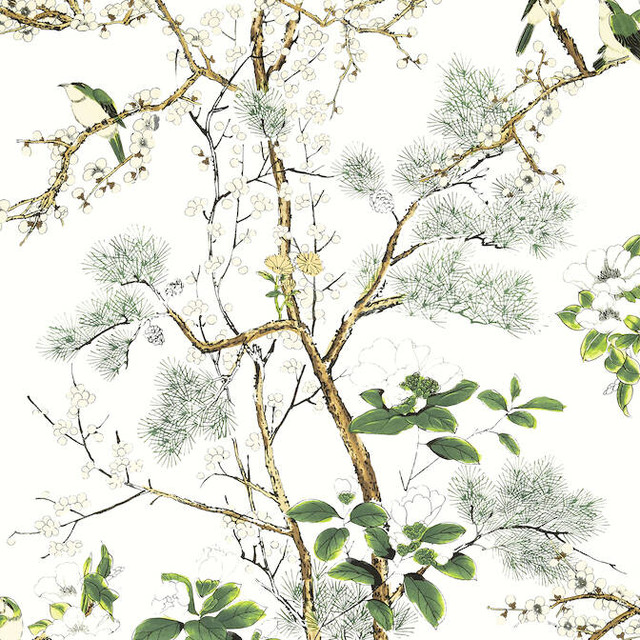 Katsura Green and White T13621 by Thibaut Wallpaper Thibaut Wallpaper Katsura Green and White T13621Wallpaper Grand Palace Non Woven Wallpaper UNITED STATES </p><p>Repeat: V: 51 27 - Fabric Carolina - Katsura Green and White T13621 by Thibaut Wallpaper Thibaut Wallpaper Katsura Green and White T13621Wallpaper Grand Palace Non Woven Wallpaper UNITED STATES </p><p>Repeat: V: 51 27 - Fabric Carolina -