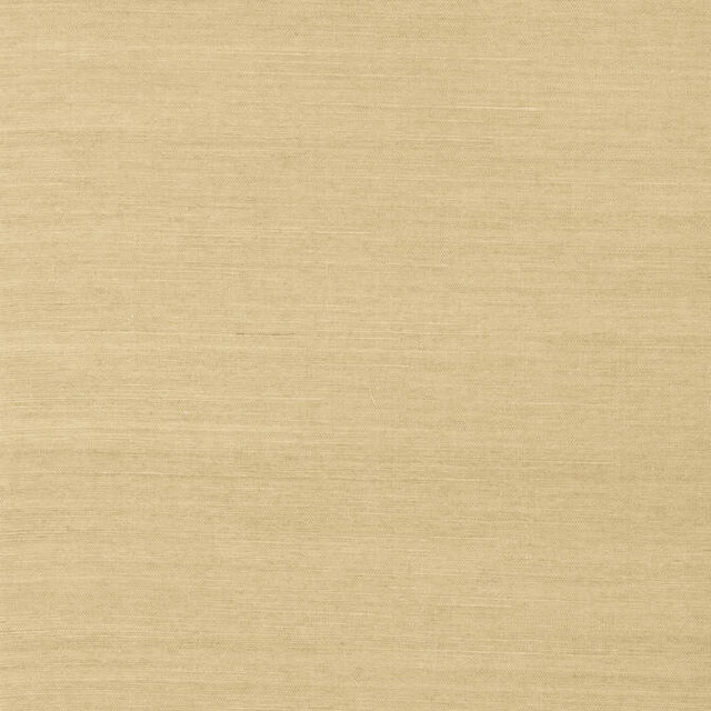 Shang Extra Fine Sisal Taupe T5031 by Thibaut Wallpaper Thibaut Wallpaper Shang Extra Fine Sisal Taupe T5031Wallpaper Grasscloth Resource Extra Fine Sisal CHINA </p><p>Repeat: V: - 36 - Fabric Carolina - Shang Extra Fine Sisal Taupe T5031 by Thibaut Wallpaper Thibaut Wallpaper Shang Extra Fine Sisal Taupe T5031Wallpaper Grasscloth Resource Extra Fine Sisal CHINA </p><p>Repeat: V: - 36 - Fabric Carolina -