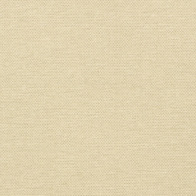 Adriatic Sand T41125 by Thibaut Wallpaper Thibaut Wallpaper Adriatic Sand T41125Wallpaper Grasscloth Resource 3 Paperweave KOREA </p><p>Repeat: V: - 36 - Fabric Carolina - Adriatic Sand T41125 by Thibaut Wallpaper Thibaut Wallpaper Adriatic Sand T41125Wallpaper Grasscloth Resource 3 Paperweave KOREA </p><p>Repeat: V: - 36 - Fabric Carolina -