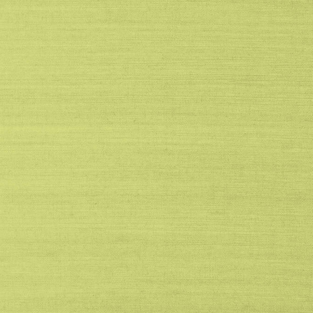 Shang Extra Fine Sisal Green T41181 by Thibaut Wallpaper Thibaut Wallpaper Shang Extra Fine Sisal Green T41181Wallpaper Grasscloth Resource 3 Extra Fine Sisal CHINA </p><p>Repeat: V: - 36 - Fabric Carolina - Shang Extra Fine Sisal Green T41181 by Thibaut Wallpaper Thibaut Wallpaper Shang Extra Fine Sisal Green T41181Wallpaper Grasscloth Resource 3 Extra Fine Sisal CHINA </p><p>Repeat: V: - 36 - Fabric Carolina -