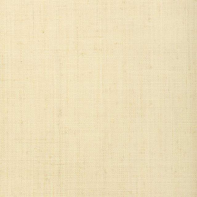Provincial Weave Cream T72877 by Thibaut Wallpaper Thibaut Wallpaper Provincial Weave Cream T72877Wallpaper Grasscloth Resource 4 Raffia KOREA </p><p>Repeat: V: - 36 - Fabric Carolina -