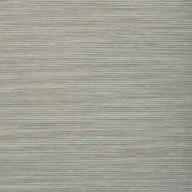 Stream Weave Dark Grey T72847 by Thibaut Wallpaper Thibaut Wallpaper Stream Weave Dark Grey T72847Wallpaper Grasscloth Resource 4 Paperweave CHINA </p><p>Repeat: V: - 36 - Fabric Carolina - Stream Weave Dark Grey T72847 by Thibaut Wallpaper Thibaut Wallpaper Stream Weave Dark Grey T72847Wallpaper Grasscloth Resource 4 Paperweave CHINA </p><p>Repeat: V: - 36 - Fabric Carolina -
