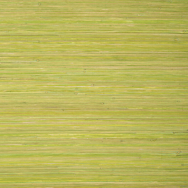 Raffia Palm Apple Green T24070 by Thibaut Wallpaper Thibaut Wallpaper Raffia Palm Apple Green T24070Wallpaper Grasscloth Resource 5 Raffia KOREA </p><p>Repeat: V: - 36 - Fabric Carolina - Raffia Palm Apple Green T24070 by Thibaut Wallpaper Thibaut Wallpaper Raffia Palm Apple Green T24070Wallpaper Grasscloth Resource 5 Raffia KOREA </p><p>Repeat: V: - 36 - Fabric Carolina -