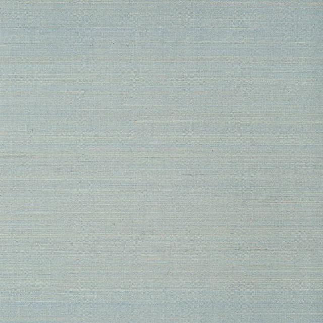 Tabacon Abaca Mineral T24120 by Thibaut Wallpaper Thibaut Wallpaper Tabacon Abaca Mineral T24120Wallpaper Grasscloth Resource 5 Abaca CHINA </p><p>Repeat: V: - 36 - Fabric Carolina -