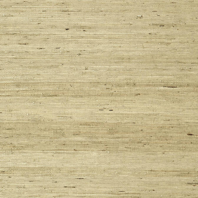 Maranta Arrowroot Beige T85006 by Thibaut Wallpaper Thibaut Wallpaper Maranta Arrowroot Beige T85006Wallpaper Greenwood Grasscloth Wallpaper KOREA </p><p>Repeat: V: - 36 - Fabric Carolina - Maranta Arrowroot Beige T85006 by Thibaut Wallpaper Thibaut Wallpaper Maranta Arrowroot Beige T85006Wallpaper Greenwood Grasscloth Wallpaper KOREA </p><p>Repeat: V: - 36 - Fabric Carolina -