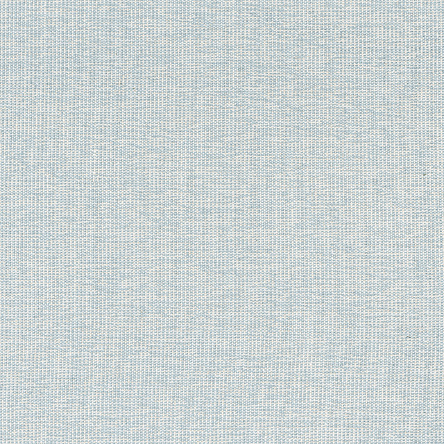 Sacchi Aqua W8764 by Thibaut Fabric Thibaut Fabric Sacchi Aqua W8764Fabric Haven Textures 100% Polyester (UV) U.S.A. </p><p>Repeat: V: - 54 - Fabric Carolina - Sacchi Aqua W8764 by Thibaut Fabric Thibaut Fabric Sacchi Aqua W8764Fabric Haven Textures 100% Polyester (UV) U.S.A. </p><p>Repeat: V: - 54 - Fabric Carolina -