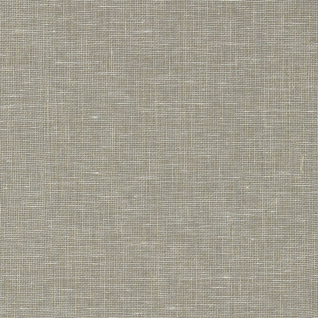 Villa Garden Texture Charcoal T10853 by Thibaut Wallpaper Thibaut Wallpaper Villa Garden Texture Charcoal T10853Wallpaper Heritage Linen Mesh Grasscloth KOREA </p><p>Repeat: V: - 36 - Fabric Carolina - Villa Garden Texture Charcoal T10853 by Thibaut Wallpaper Thibaut Wallpaper Villa Garden Texture Charcoal T10853Wallpaper Heritage Linen Mesh Grasscloth KOREA </p><p>Repeat: V: - 36 - Fabric Carolina -