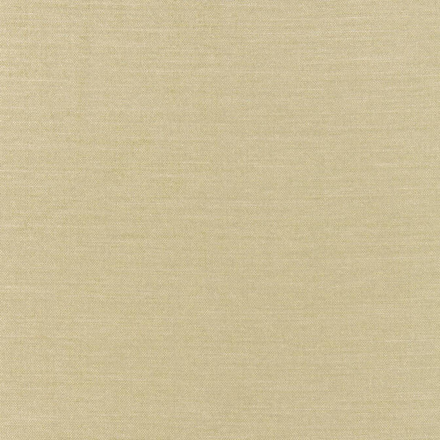 Aura Dove W80246 by Thibaut Fabric Thibaut Fabric Aura Dove W80246Fabric Kaleidoscope 56% Rayon, 44% Cotton-Acr Back U.S.A. </p><p>Repeat: V: - 54 - Fabric Carolina - Aura Dove W80246 by Thibaut Fabric Thibaut Fabric Aura Dove W80246Fabric Kaleidoscope 56% Rayon, 44% Cotton-Acr Back U.S.A. </p><p>Repeat: V: - 54 - Fabric Carolina -