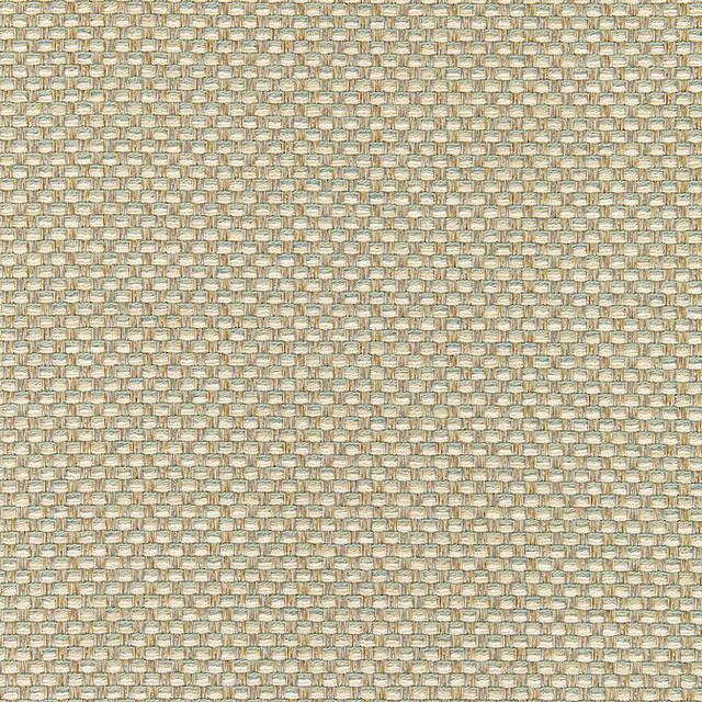 Palmetto Aqua W80231 by Thibaut Fabric Thibaut Fabric Palmetto Aqua W80231Fabric Kaleidoscope 37%Poly35%Ray27%Cot1%Nyl-acr b U.S.A. </p><p>Repeat: V: - 54 - Fabric Carolina - Palmetto Aqua W80231 by Thibaut Fabric Thibaut Fabric Palmetto Aqua W80231Fabric Kaleidoscope 37%Poly35%Ray27%Cot1%Nyl-acr b U.S.A. </p><p>Repeat: V: - 54 - Fabric Carolina -