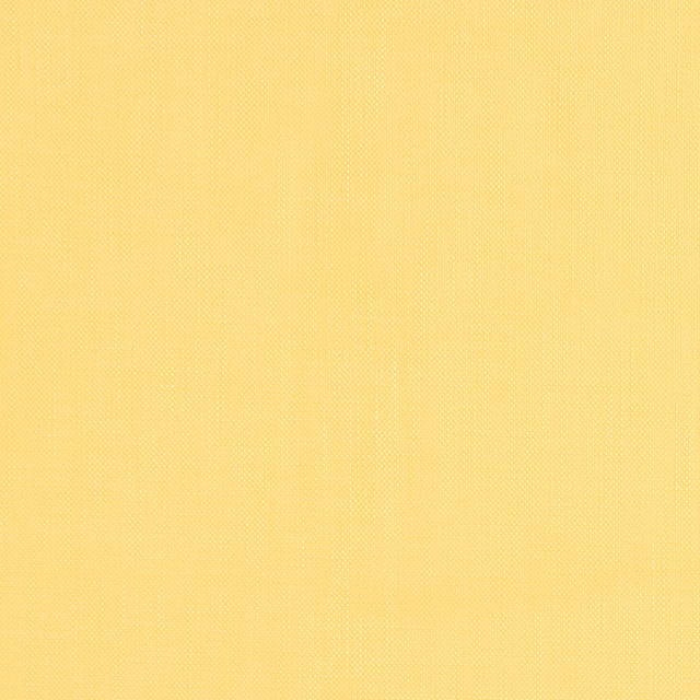 Brynn Daisy W81680 by Thibaut Fabric Thibaut Fabric Brynn Daisy W81680Fabric Locale 100% Solution Dyed Acrylic MEXICO </p><p>Repeat: V: 0 54 - Fabric Carolina - Brynn Daisy W81680 by Thibaut Fabric Thibaut Fabric Brynn Daisy W81680Fabric Locale 100% Solution Dyed Acrylic MEXICO </p><p>Repeat: V: 0 54 - Fabric Carolina -