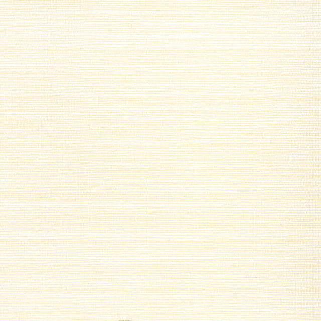Cape May Weave Natural T27007 by Thibaut Wallpaper Thibaut Wallpaper Cape May Weave Natural T27007Wallpaper Natural Resource 3 Raffia KOREA </p><p>Repeat: V: - 36 - Fabric Carolina - Cape May Weave Natural T27007 by Thibaut Wallpaper Thibaut Wallpaper Cape May Weave Natural T27007Wallpaper Natural Resource 3 Raffia KOREA </p><p>Repeat: V: - 36 - Fabric Carolina -
