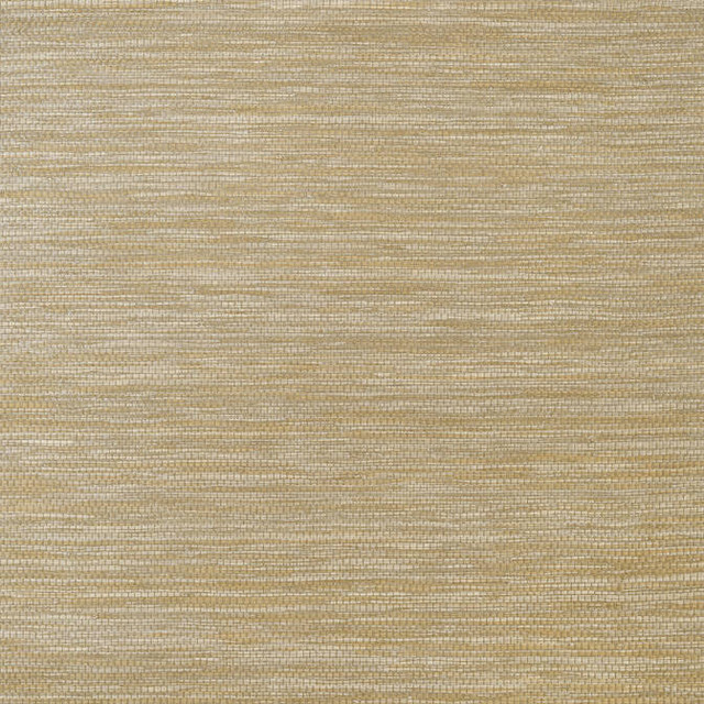 Cape May Weave Brown T27008 by Thibaut Wallpaper Thibaut Wallpaper Cape May Weave Brown T27008Wallpaper Natural Resource 3 Raffia KOREA </p><p>Repeat: V: - 36 - Fabric Carolina - Cape May Weave Brown T27008 by Thibaut Wallpaper Thibaut Wallpaper Cape May Weave Brown T27008Wallpaper Natural Resource 3 Raffia KOREA </p><p>Repeat: V: - 36 - Fabric Carolina -