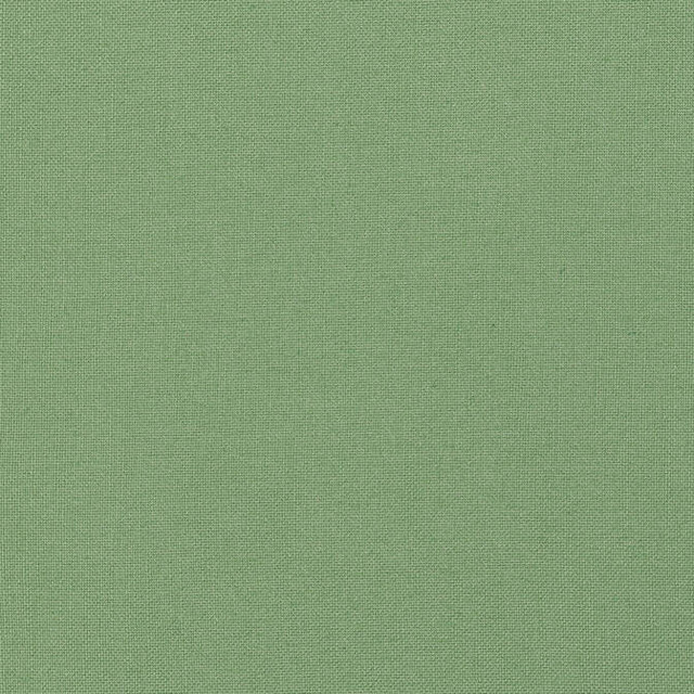 Palisade Linen Fern FWW7654 by Thibaut Fabric Thibaut Fabric Palisade Linen Fern FWW7654Fabric Palisades 75% Polyester, 25% Linen TURKEY </p><p>Repeat: V: - 116 - Fabric Carolina -