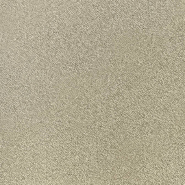 Arcata Dune W78383 by Thibaut Fabric Thibaut Fabric Arcata Dune W78383Fabric Sierra 80% Thermo PU, 20% Polyester KOREA </p><p>Repeat: V: - 54 - Fabric Carolina -