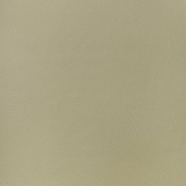 Arcata Twig W78385 by Thibaut Fabric Thibaut Fabric Arcata Twig W78385Fabric Sierra 80% Thermo PU, 20% Polyester KOREA </p><p>Repeat: V: - 54 - Fabric Carolina - Arcata Twig W78385 by Thibaut Fabric Thibaut Fabric Arcata Twig W78385Fabric Sierra 80% Thermo PU, 20% Polyester KOREA </p><p>Repeat: V: - 54 - Fabric Carolina -