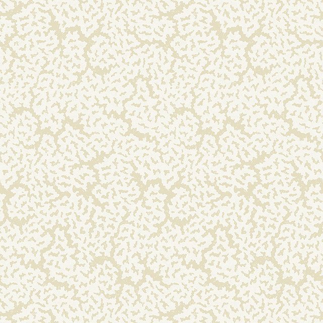 Maldives Cream T42059 by Thibaut Wallpaper Thibaut Wallpaper Maldives Cream T42059Wallpaper Sojourn Non Woven Wallpaper UNITED STATES </p><p>Repeat: V: 25.25 27 - Fabric Carolina - Maldives Cream T42059 by Thibaut Wallpaper Thibaut Wallpaper Maldives Cream T42059Wallpaper Sojourn Non Woven Wallpaper UNITED STATES </p><p>Repeat: V: 25.25 27 - Fabric Carolina -